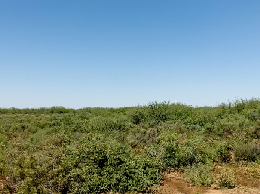 Commercial Property for Sale in Vanwyksvlei Northern Cape